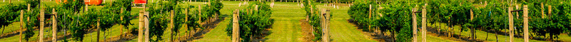Trees in research