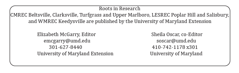 WMREC Editor page