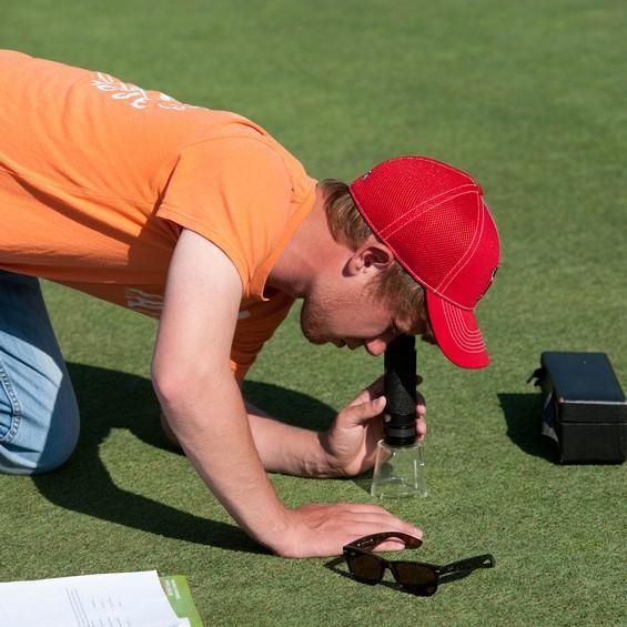 Man leaning down inspecting turf