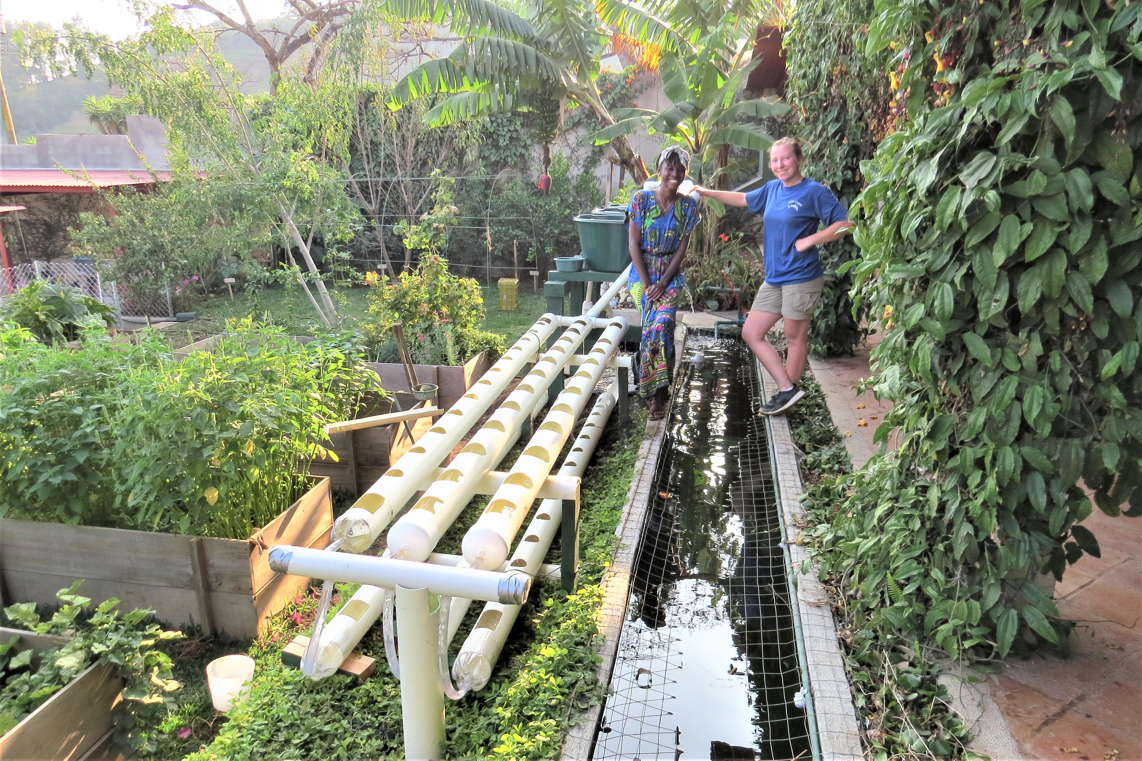 Aquaponics