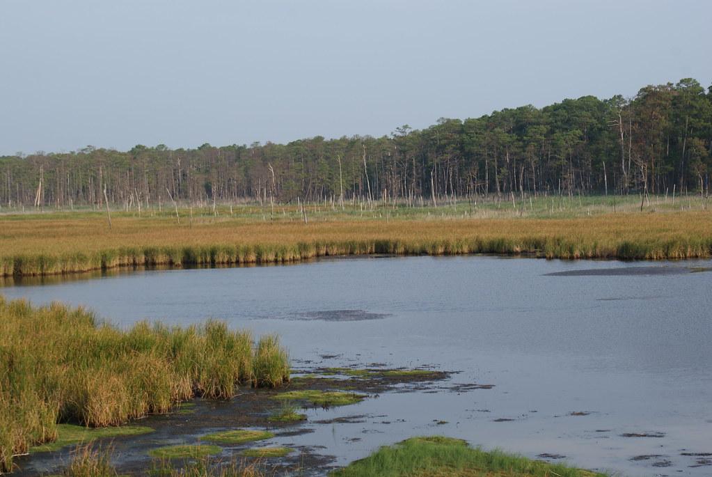 coastal waterways