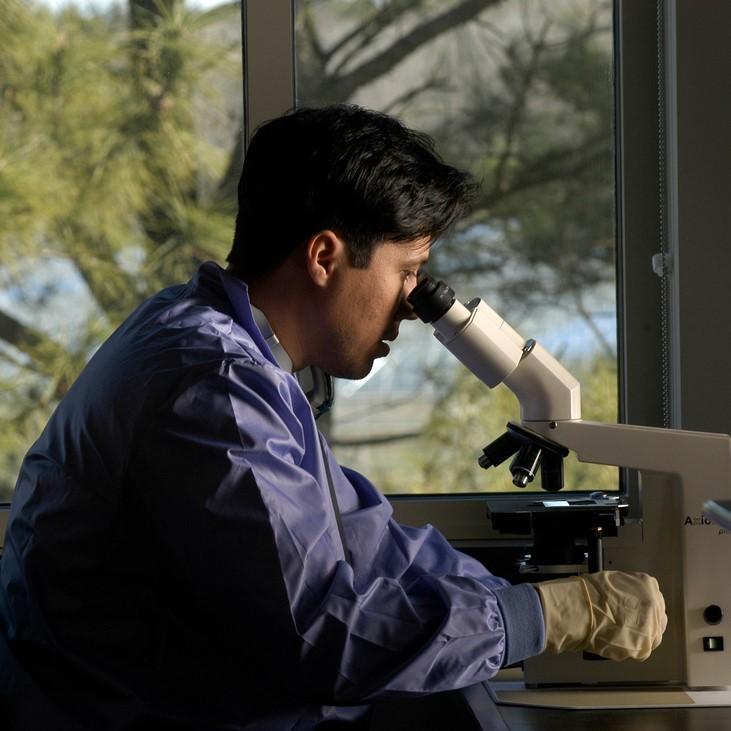 Man looking into a microscope with windows behind him