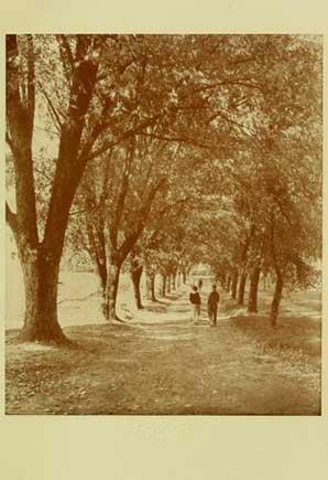 Historic image of a couple walking through trees along path on UMD's campus