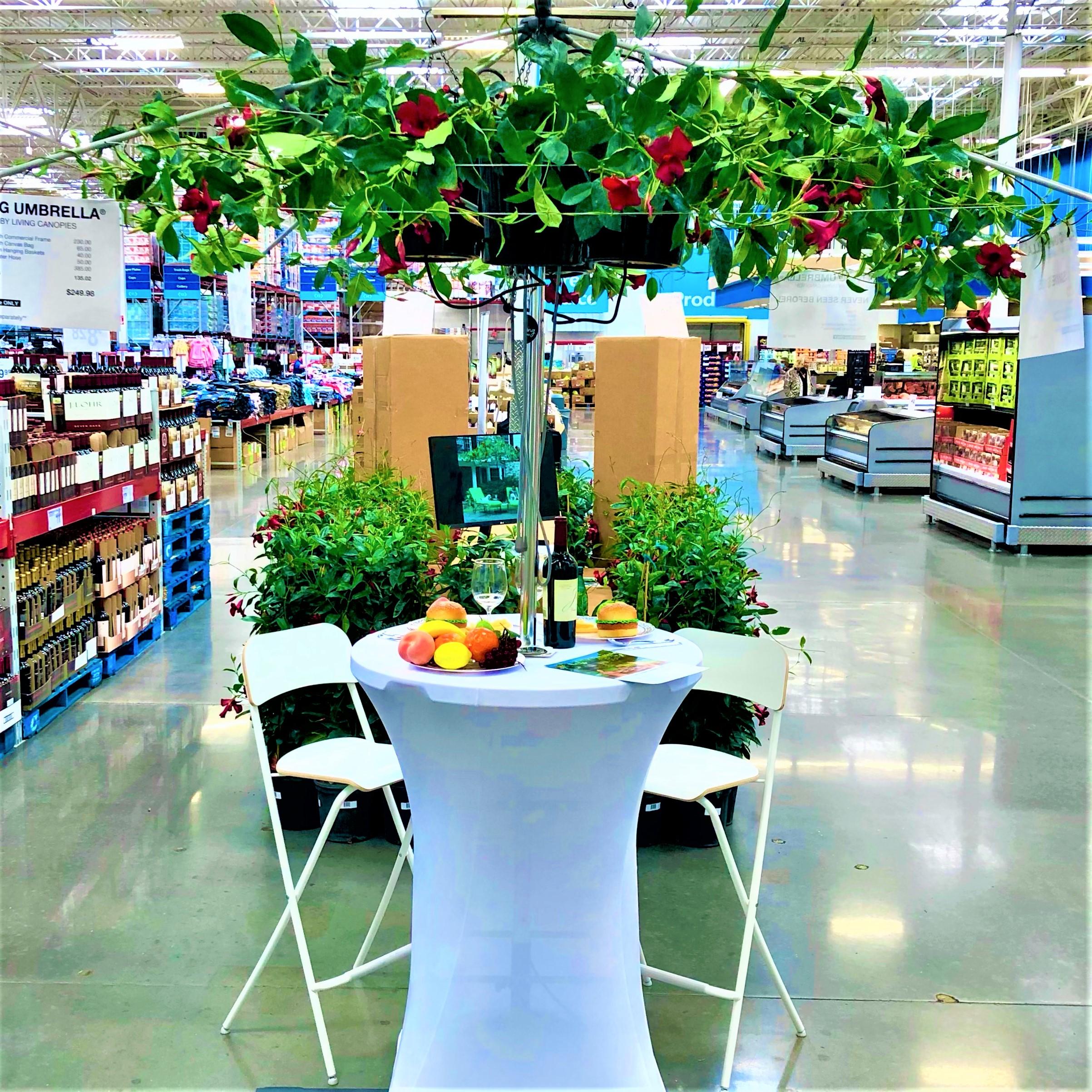 Living Umbrella at Sam's Club