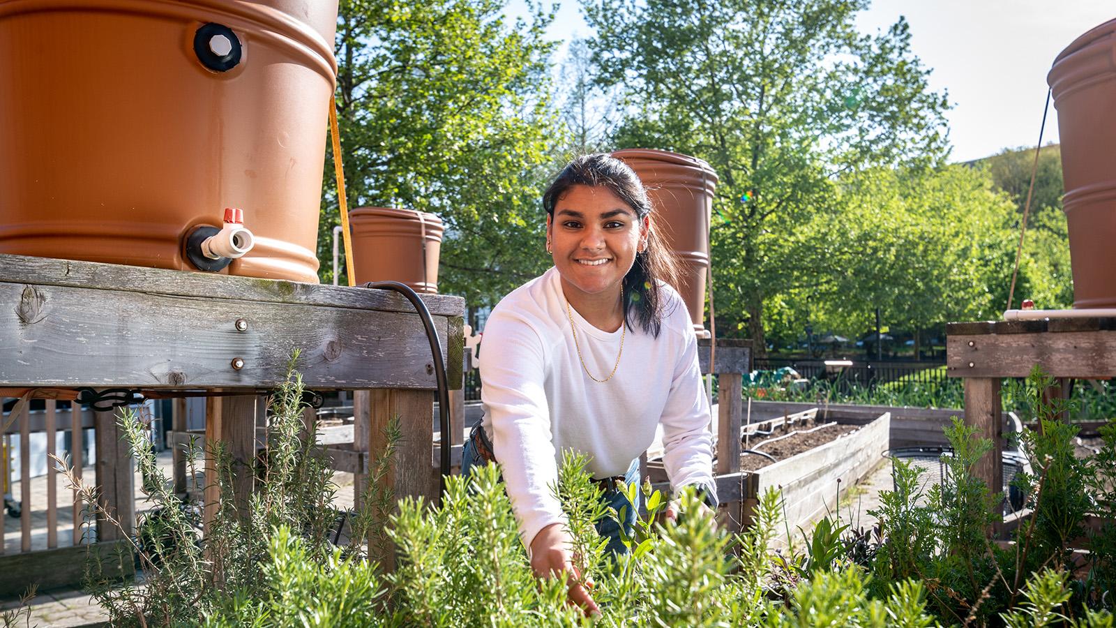 Institute of Applied Agriculture student at Community Learning Garden