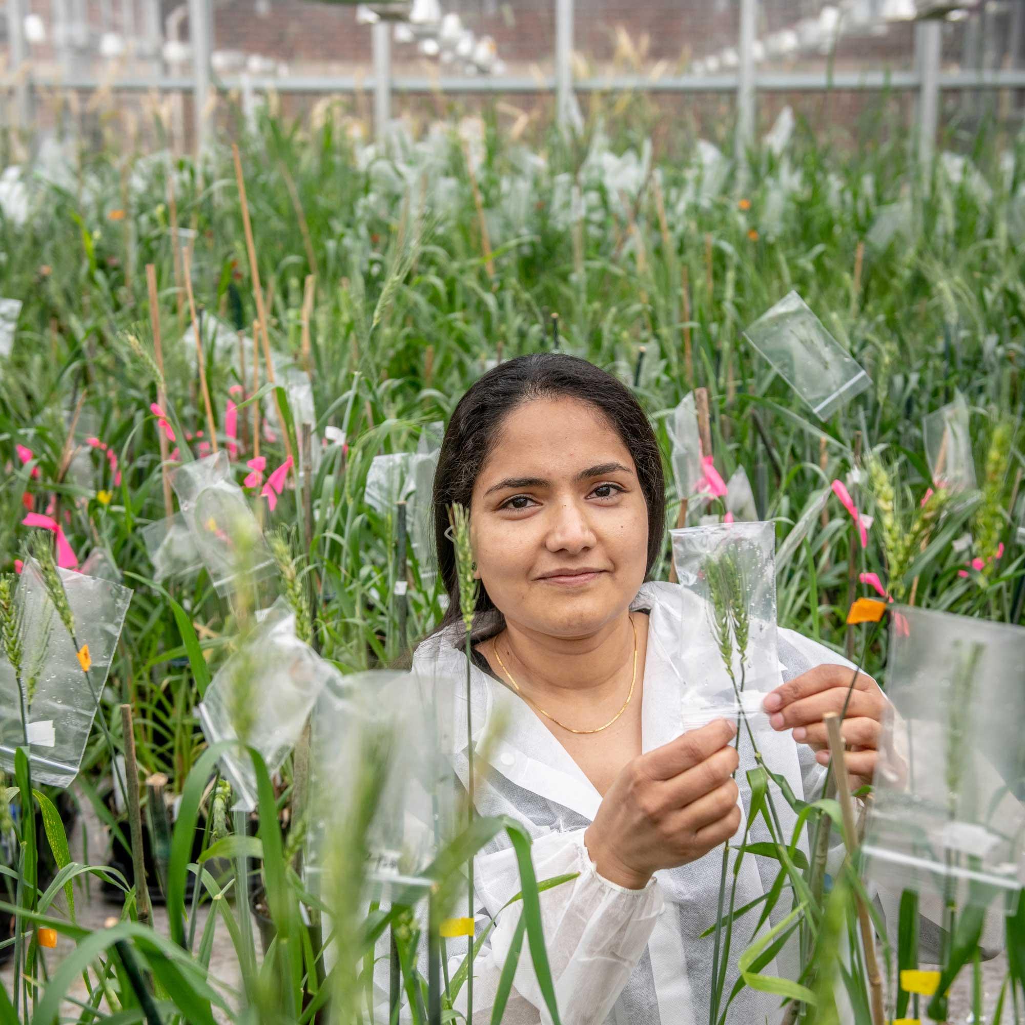 Woman standing in a field of plants