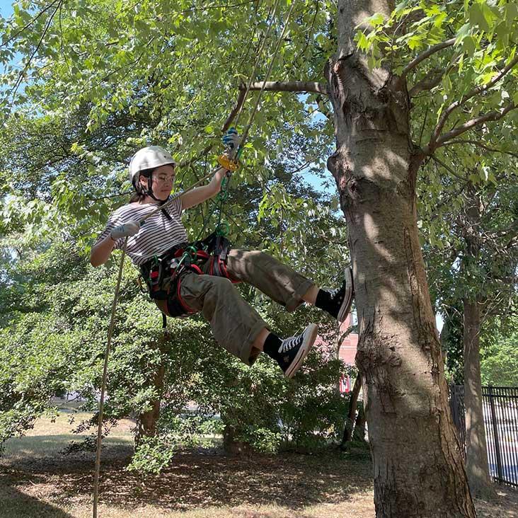 Student swinging from a tree