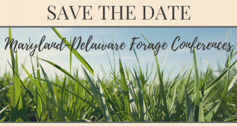 Event graphic