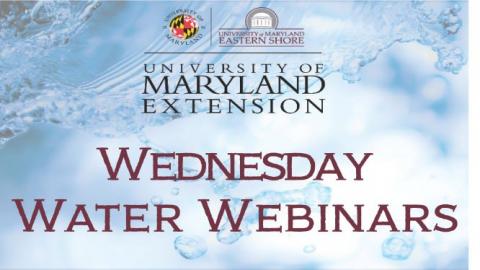 Webinar logo