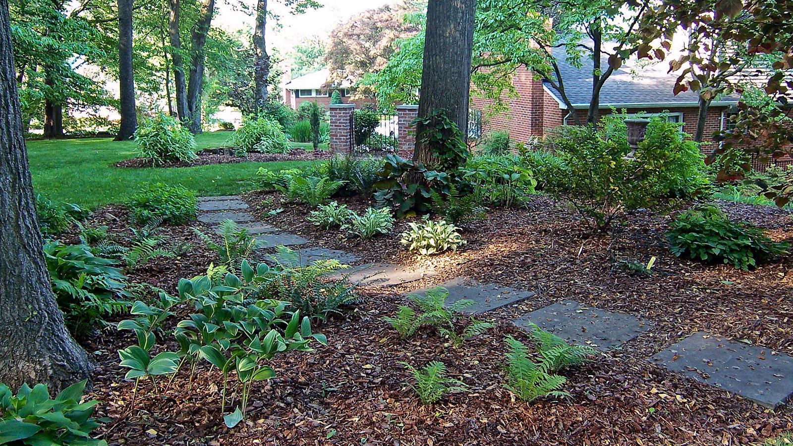 Yard without grass