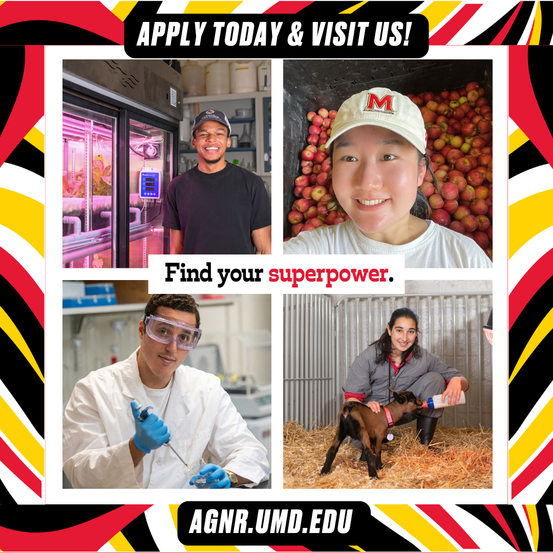 Four eager students representing different facets of AGNR invite you to visit us to learn more!
