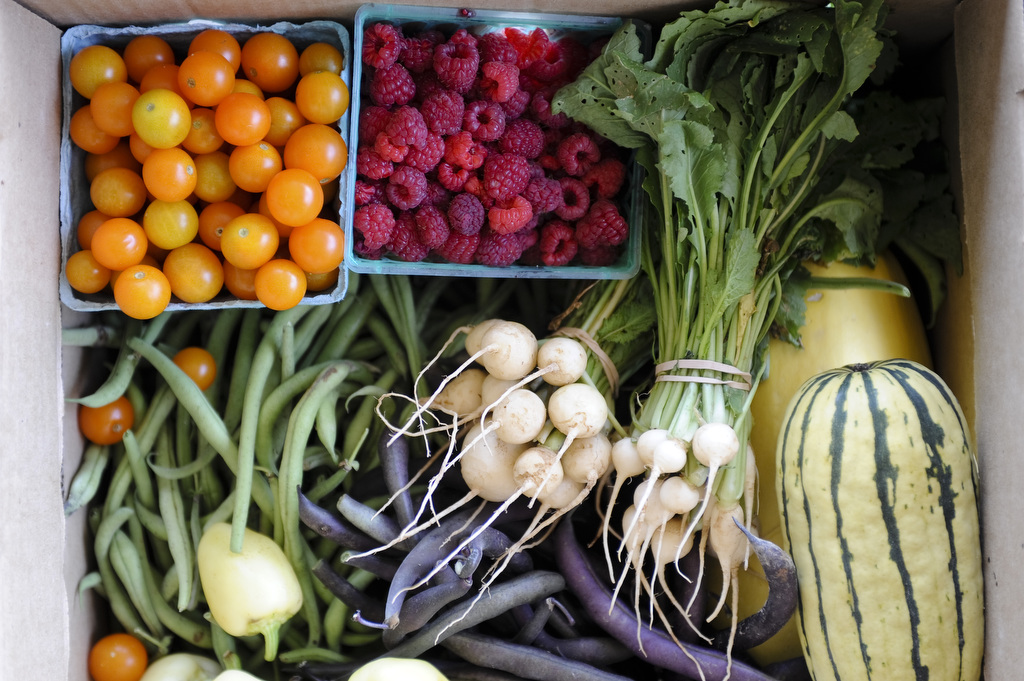 a variety of vegetables