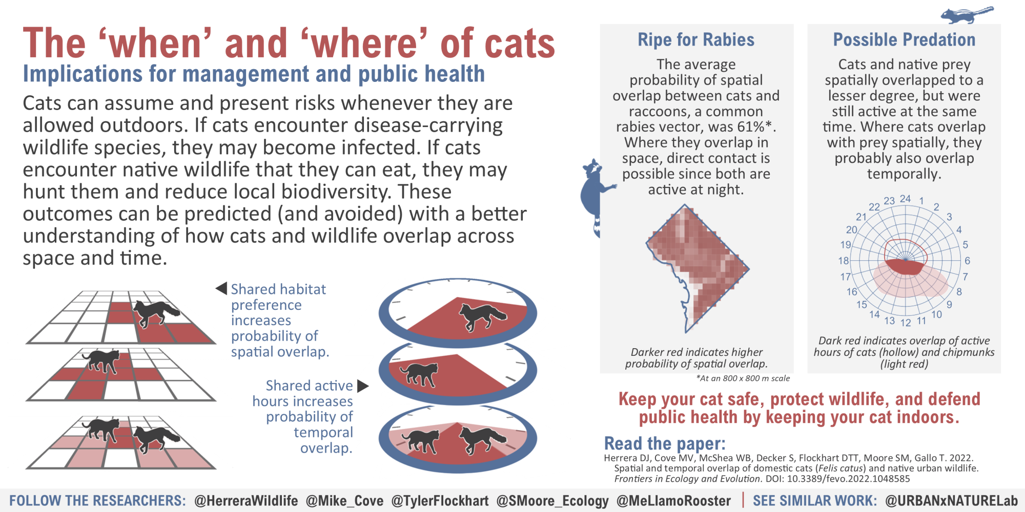 graphic describing the when and where of cats