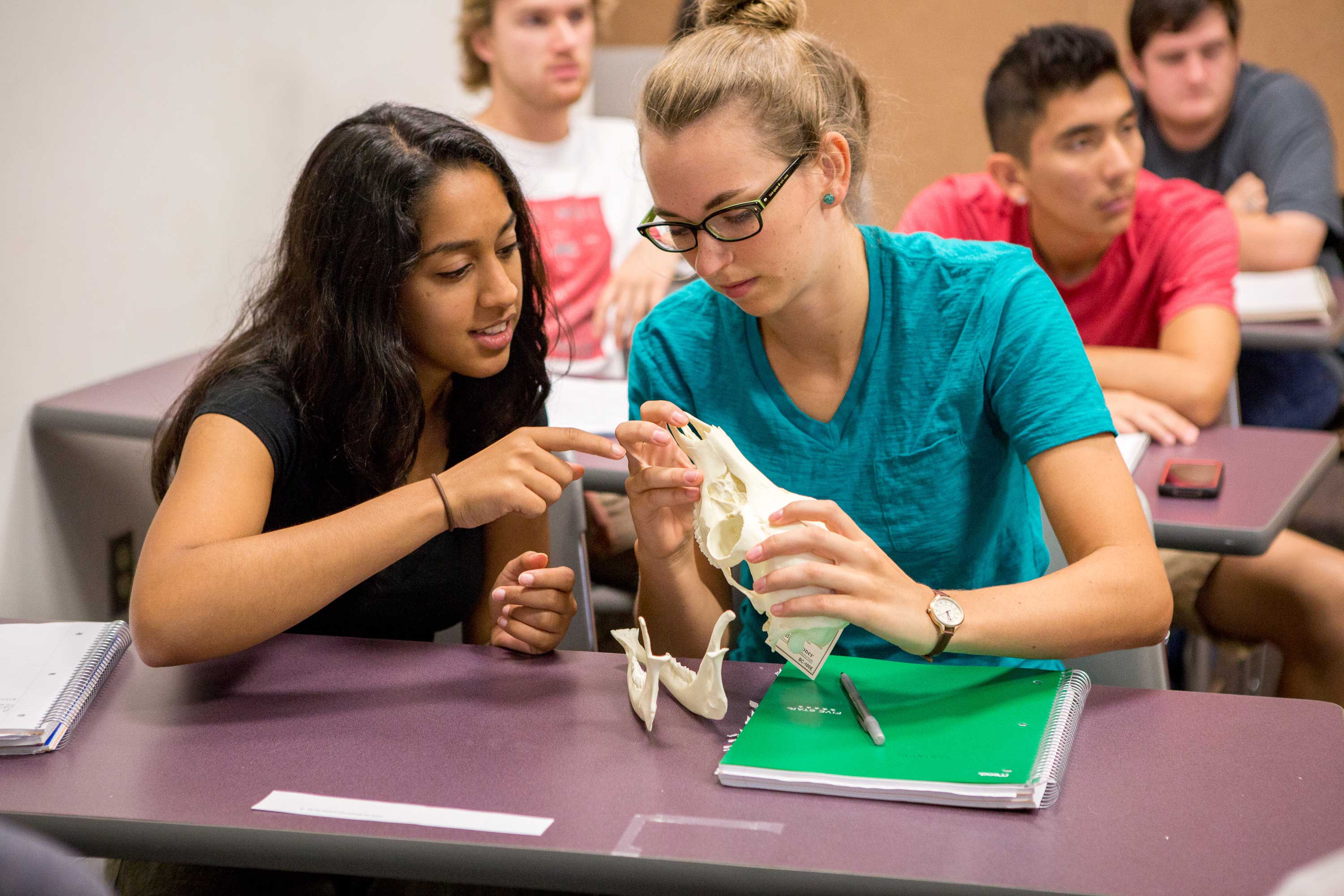 Students in class