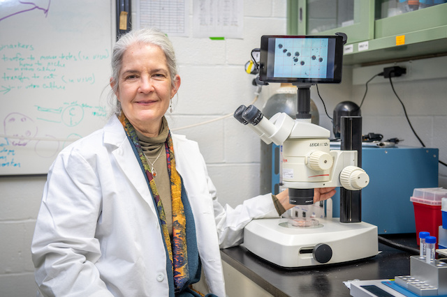 Carol Keefer