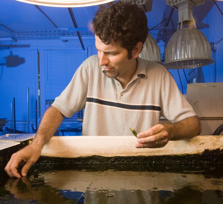 Man conducting research in a blue lit room