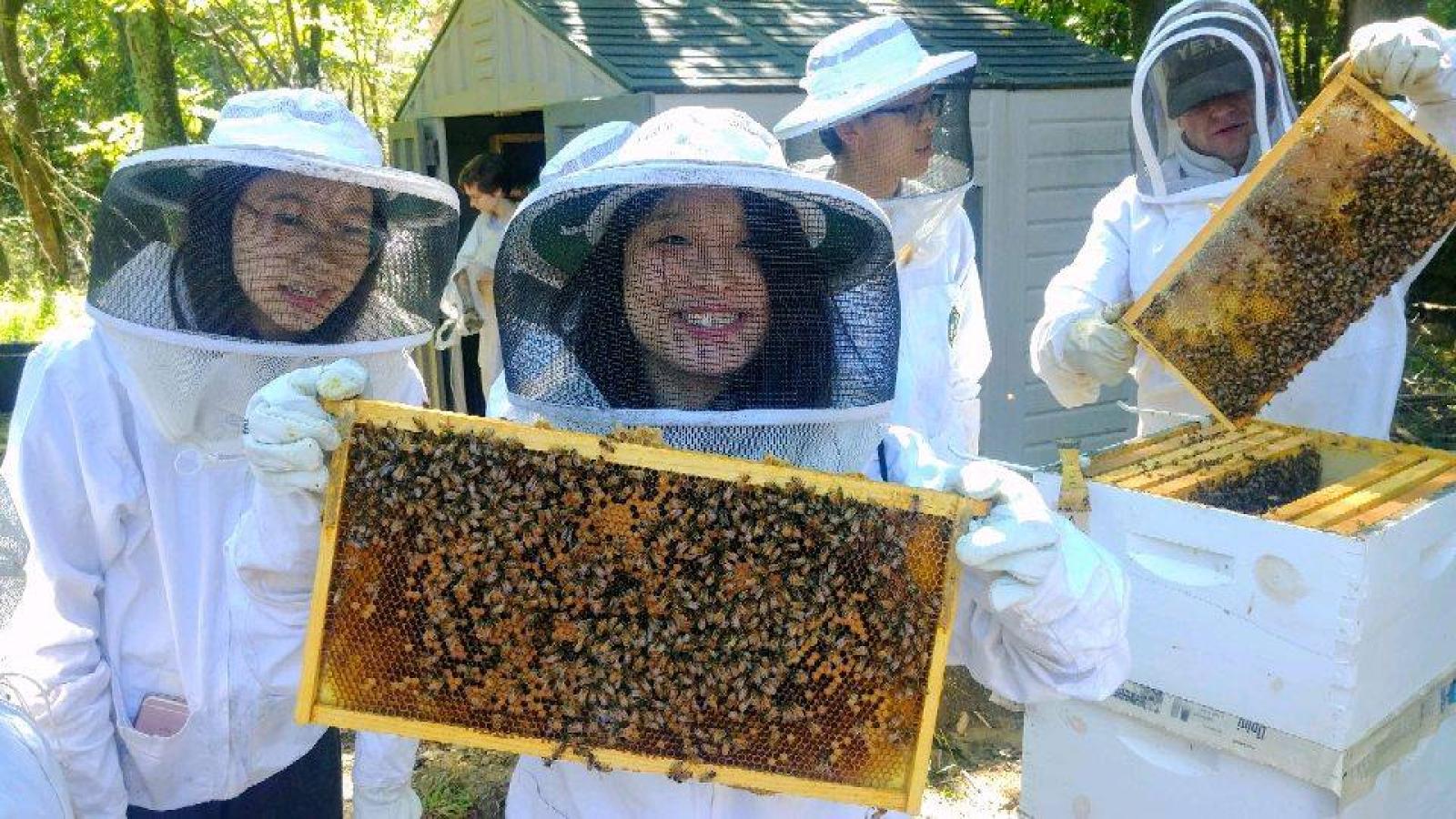 Beekeeping Club