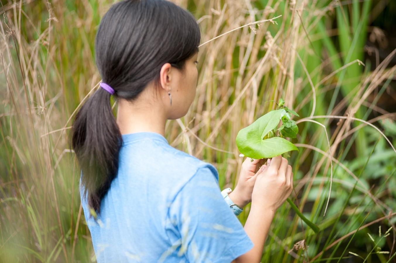Student holding up a leaf