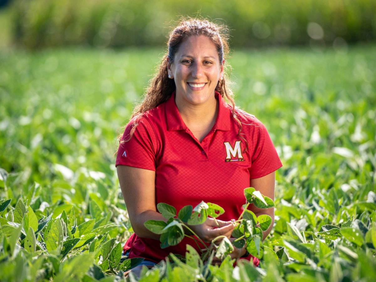 Extension employee in a field