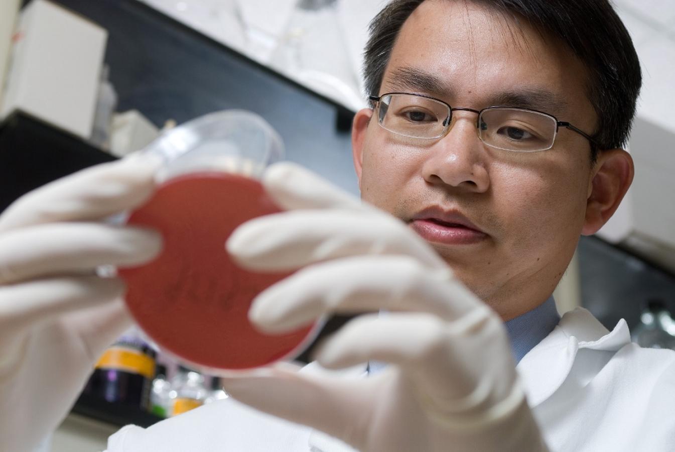 Researcher in the lab