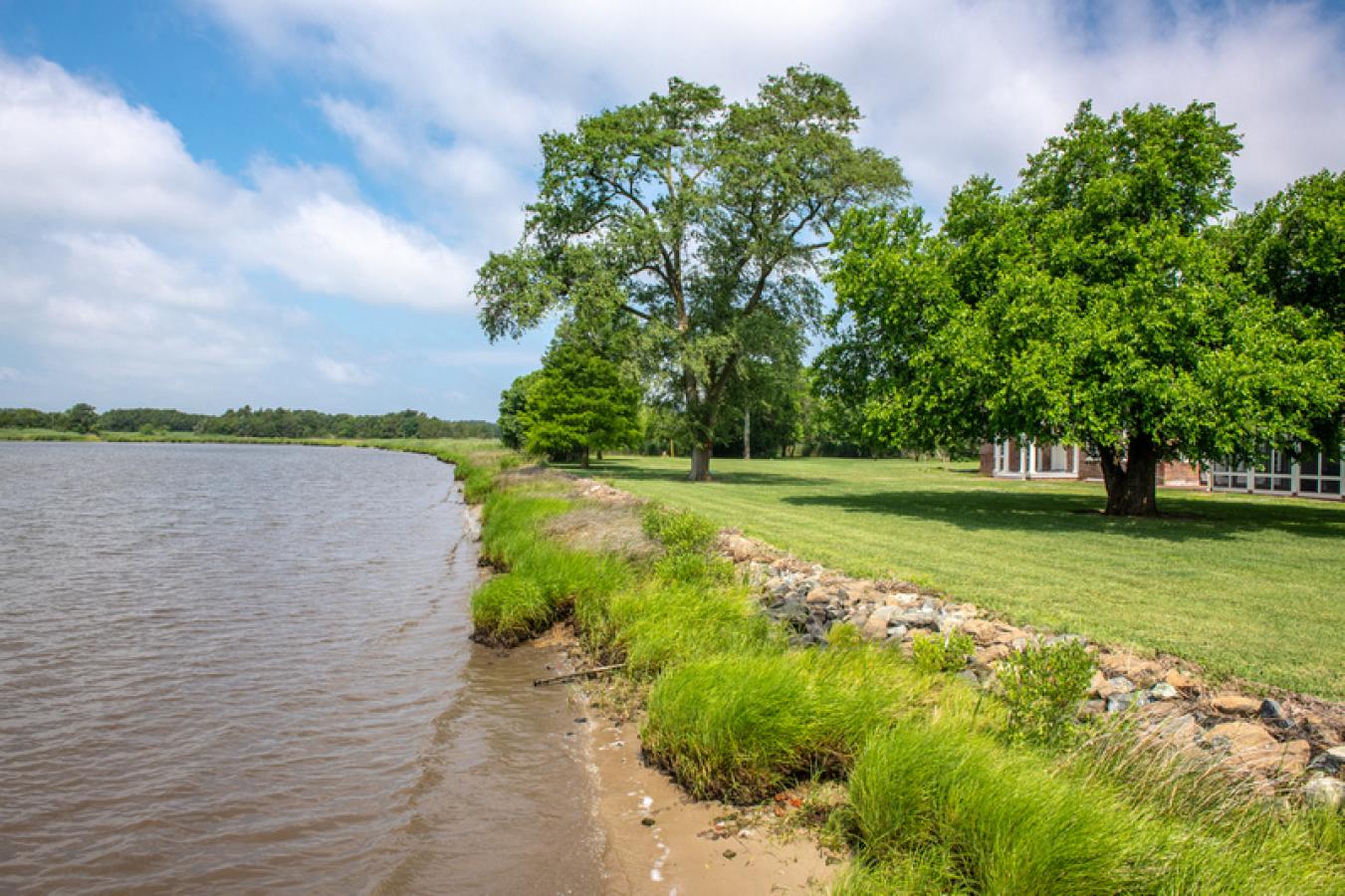 riverbank